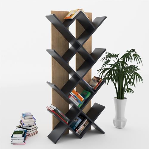 RAHLE Bookcase